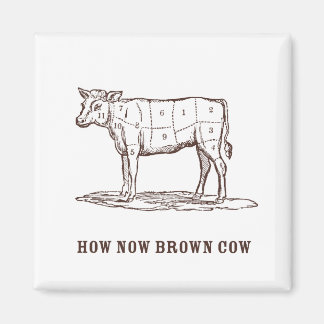How Now Brown Cow Magnet