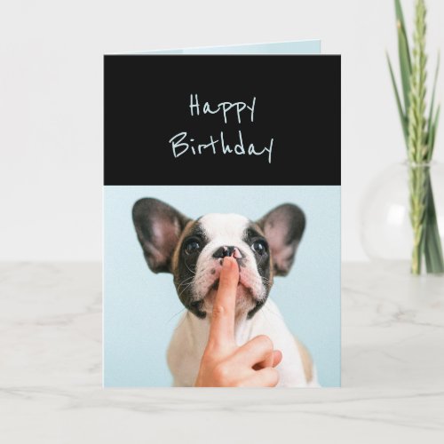 How Old are We Saying You are Now Cute Dog Card
