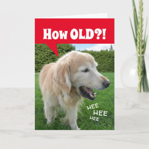 How OLD?! Laughing Golden Retriever Dog Birthday Card