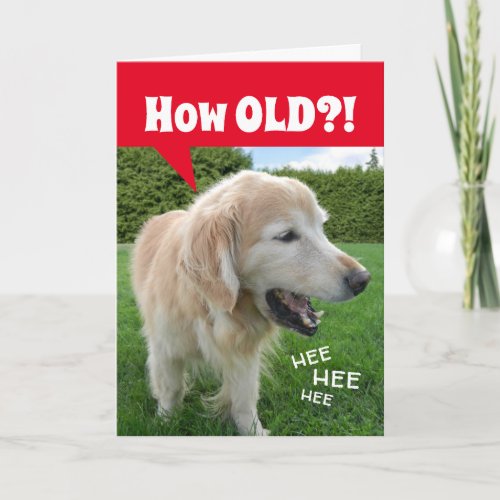 How OLD Laughing Golden Retriever Dog Birthday Card