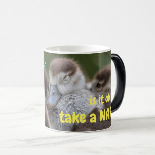 How soon after waking up is it ok to take a nap? color morph mug