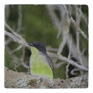 How Sweet Change Birds Belly Color Trivet