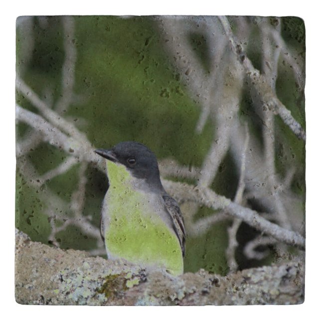 How Sweet Change Birds Belly Color Trivet (Front)