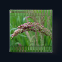How the Grass Grows Button
