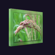 How the Grass Grows Canvas Print
