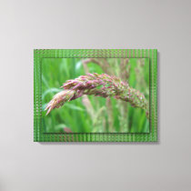 How the Grass Grows Canvas Print