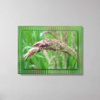 How the Grass Grows Canvas Print