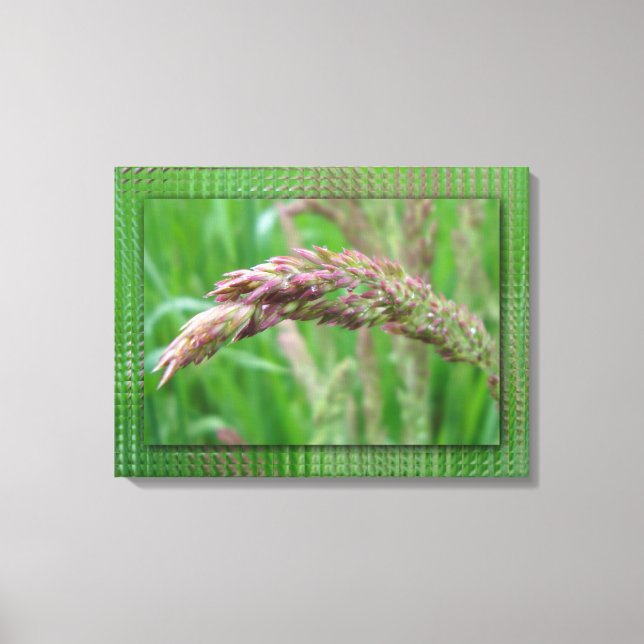 How the Grass Grows Canvas Print (Front)