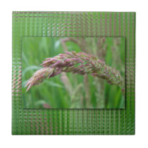 How the Grass Grows Decorative Tile