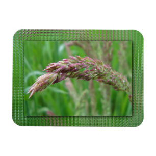 How the Grass Grows Flexible Magnet