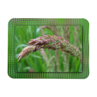 How the Grass Grows Flexible Magnet