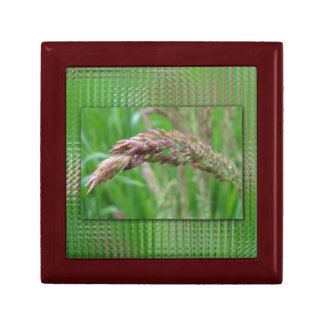 How the Grass Grows Gift Box