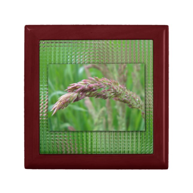 How the Grass Grows Gift Box (Front)