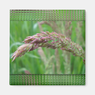 How the Grass Grows Magnet