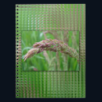 How the Grass Grows Notebook