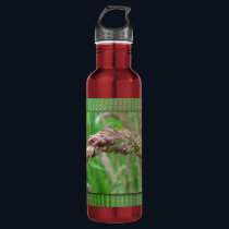 How the Grass Grows Stainless Steel Water Bottle
