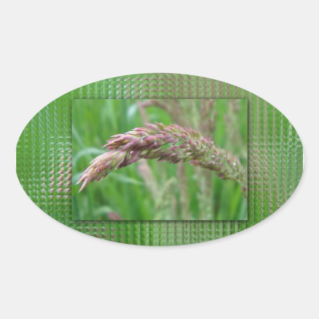 How the Grass Grows Stickers (Front)