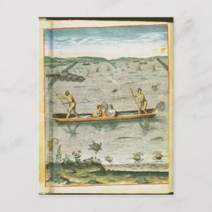 How the Indians Catch their Fish Postcard