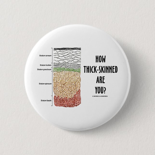 How Thick-Skinned Are You? (Epidermis Skin Layers) Pinback Button (Front)