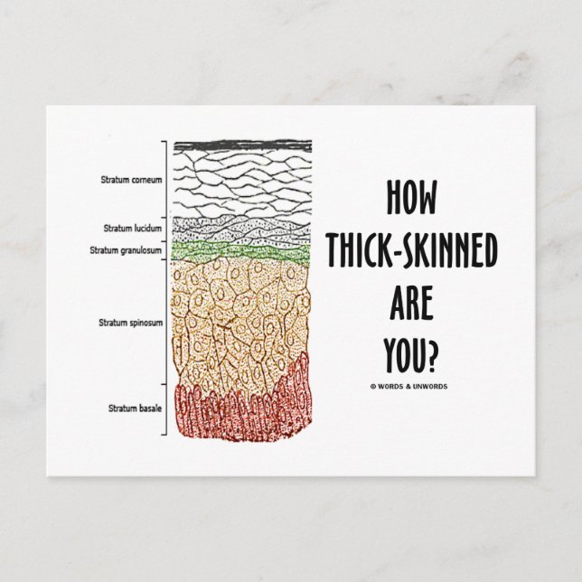How Thick-Skinned Are You? (Epidermis Skin Layers) Postcard (Front)