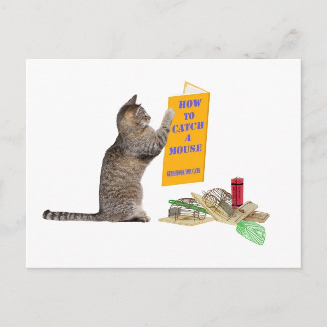 How to catch a mouse postcard (Front)