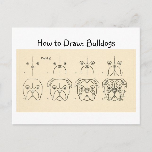 How to Draw Bulldogs Vintage Postcard (Front)