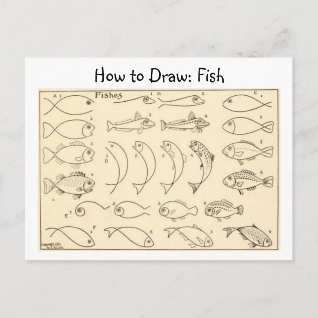 How to Draw Fish Vintage Postcard (Front)