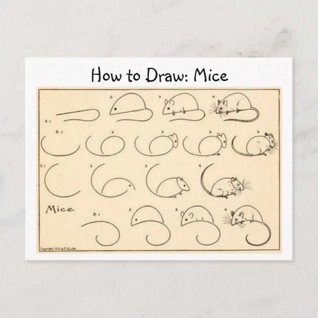 How to Draw Mice Vintage Postcard (Front)