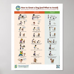 How to Greet a Dog (and What to Avoid) Poster