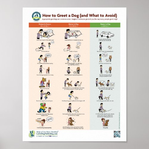 How to Greet a Dog and What to Avoid Poster