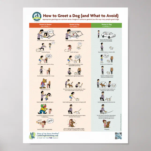 How to Greet a Dog (and What to Avoid) Poster | Zazzle