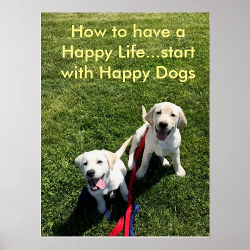 How to have a Happy Lifestart with Happy Dogs Poster