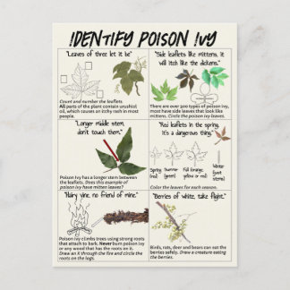 How to Identify Poison Ivy Plants - Hike Safe Postcard