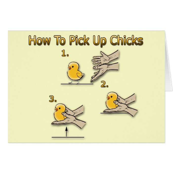 How To Pick Up Chicks Funny Directions Card