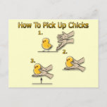 How To Pick Up Chicks Funny Directions Postcard at Zazzle