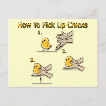 How To Pick Up Chicks Funny Directions Postcard by KirstenStar at Zazzle