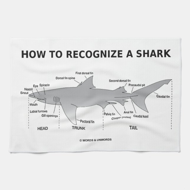 How To Recognize A Shark (Biology Humor) Kitchen Towel (Horizontal)
