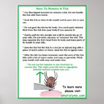 How to Remove a Tick Educational Poster