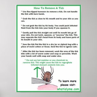 How to Remove a Tick Educational Poster