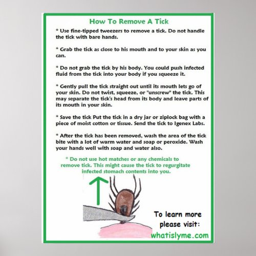 How to Remove a Tick Educational Poster