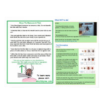 How To Remove a Tick Poster for Lyme Awareness