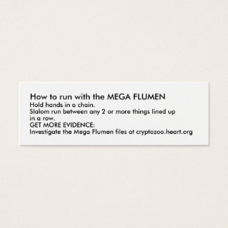 How to run with the MEGA FLUMEN