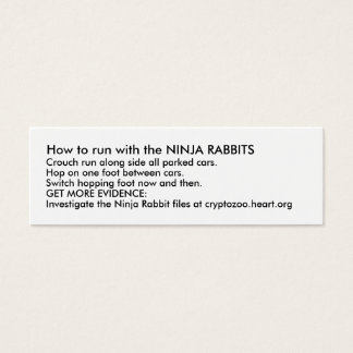 How to run with the NINJA RABBITS