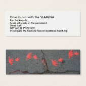 How to run with the SLAMINA (Front & Back)