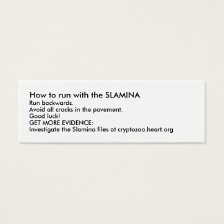 How to run with the SLAMINA