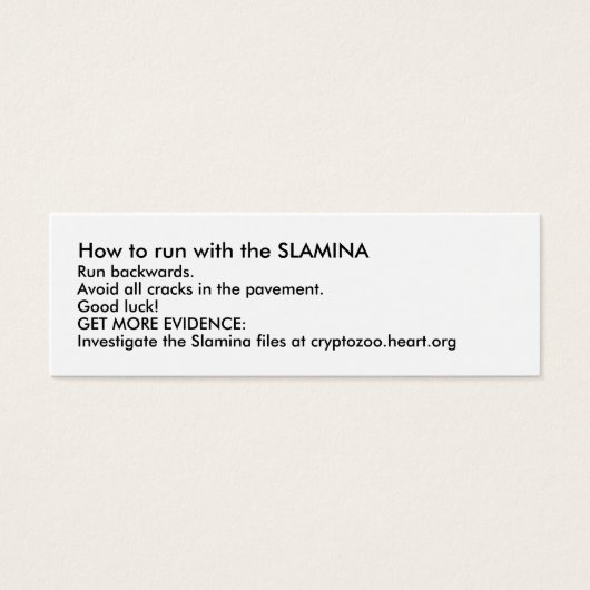 How to run with the SLAMINA (Front)