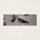 How to run with the SQUIGBOTS (Back)