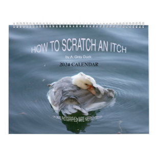 HOW TO SCRATCH AN ITCH by A. Gray Duck 2024 Calendar