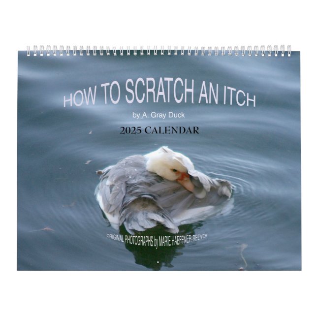 HOW TO SCRATCH AN ITCH by A. Gray Duck 2025 Calendar (Cover)