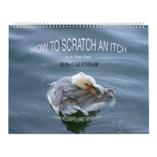 HOW TO SCRATCH AN ITCH by A. Gray Duck 2026 Calendar